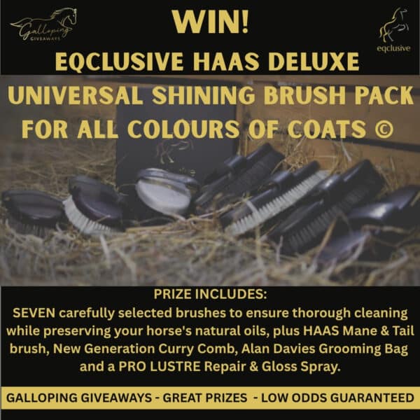 Eqclusive Deluxe Universal Shining Pack - for all colours of coats ©