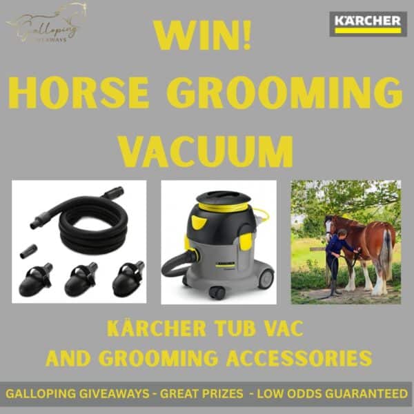 Kärcher T10/1 Tub Vac and Grooming Accessories