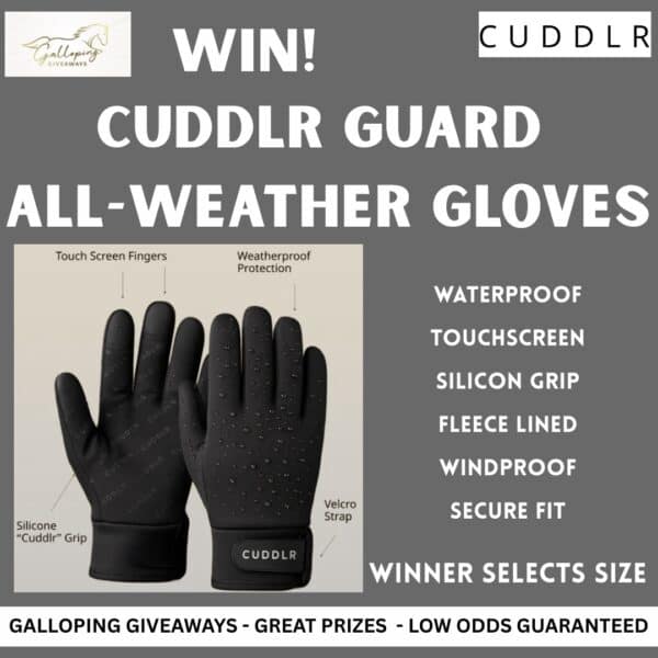All-Weather Grip and Warmth Gloves