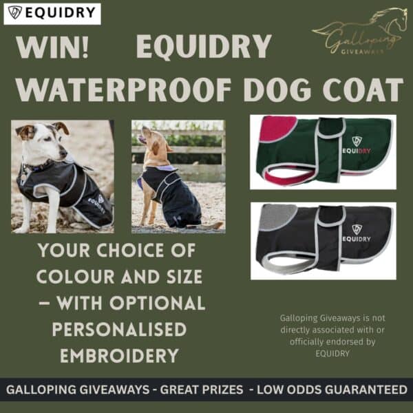 EQUIDRY Waterproof Dog Coat