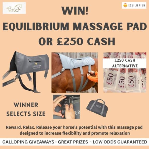 Equilibrium Massage Pad or £250 CASH ALTERNATIVE