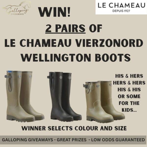 TWO PAIRS of LE CHAMEAU Vierzonord Neoprene Wellington Boots