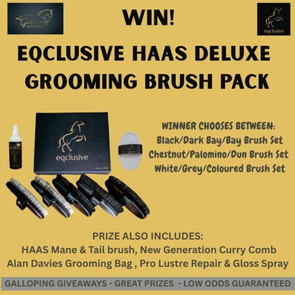 Eqclusive Haas Deluxe Grooming Brush Pack