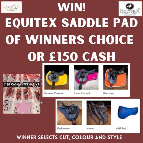EQUITEX Saddle Pad of Winners Choice OR £150 Cash Alternative