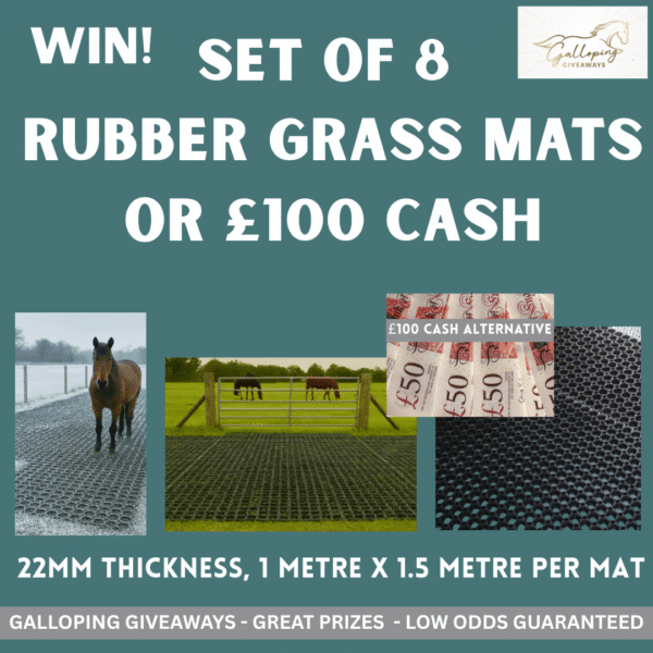 Set of 8 Grass Mats or £100 CASH ALTERNATIVE