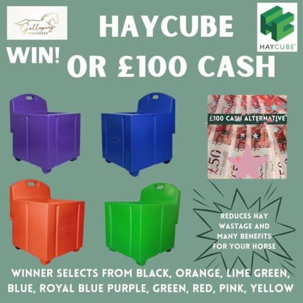 Haycube OR £100 Cash Alternative