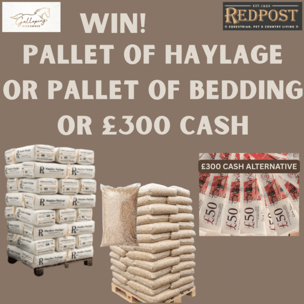 Pallet of Haylage or Pallet of Bedding or £300 CASH ALTERNATIVE