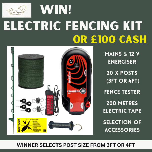 Electric Fencing Kit OR £100 Cash Alternative