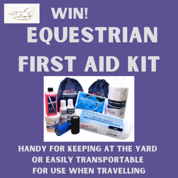 Equestrian First Aid Kit