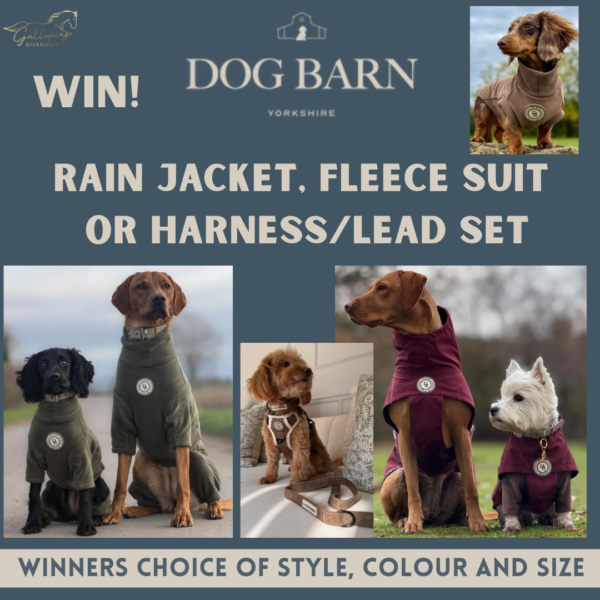 Dog Barn Yorkshire - Rain Coat, Fleece Suit or Harness & Lead Set