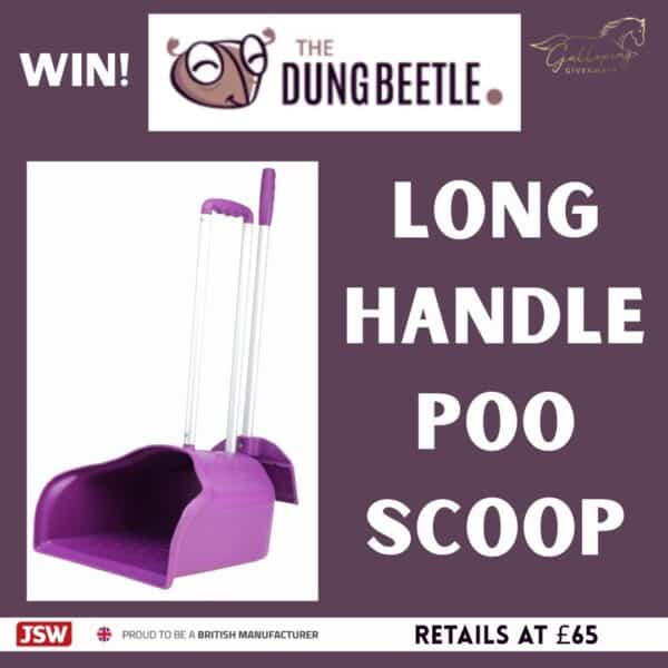 The DUNGBEETLE Long Handle Poo Scoop