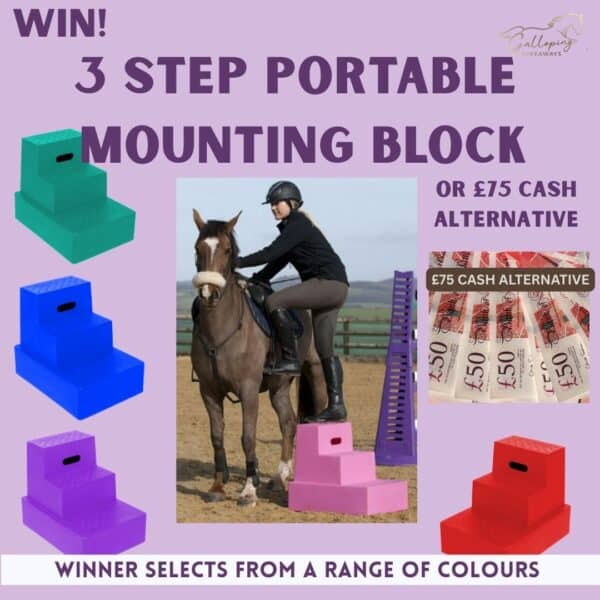 JSW 3 Step Portable Mounting Block or £75 CASH ALTERNATIVE