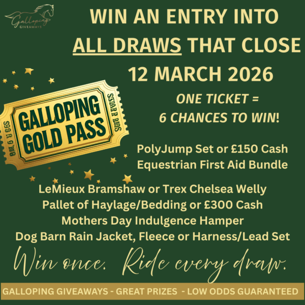 Galloping Gold Pass - 1 Ticket = 6 Chances To Win