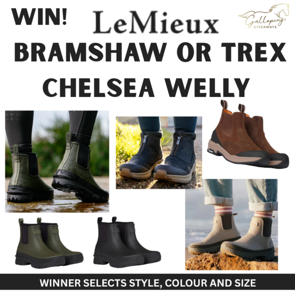 LeMieux Bramshaw or Trex Chelsea Welly - Winners Choice