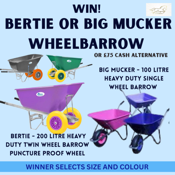 Bertie Barrow OR Big Mucker Wheelbarrow - Winners Choice OR £75 Cash Alternative