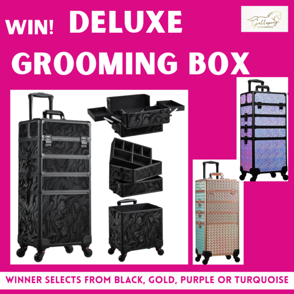 Deluxe Grooming Box