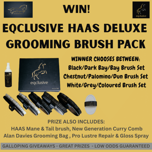 Eqclusive Haas Deluxe Grooming Brush Pack
