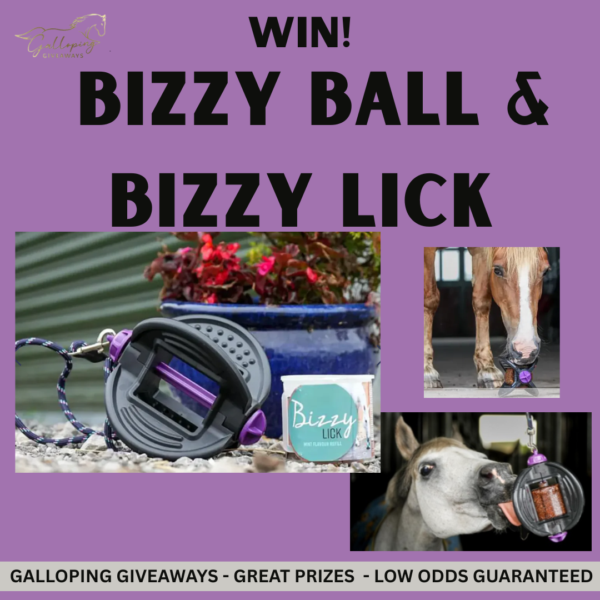 Bizzy Ball & Bizzy Lick
