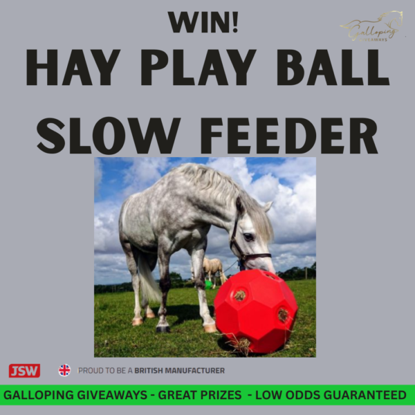 The Original Hay Play Ball Slow Feeder