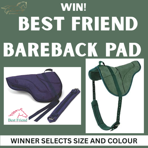 Best Friend Bareback Pad - Winner Selects Size/Colour