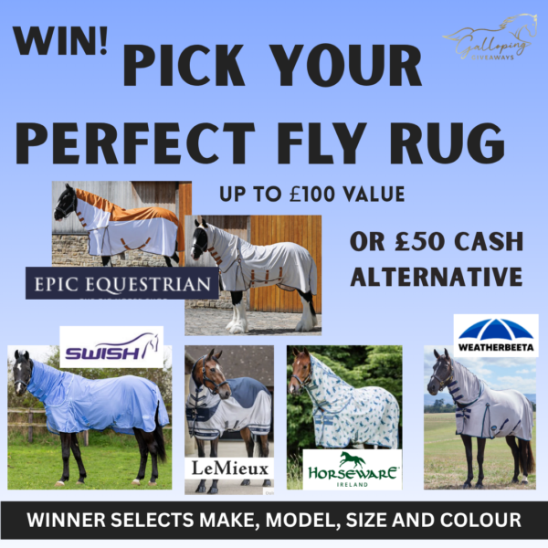 Fly Rug of Winner's Choice OR £50 Cash Alternative