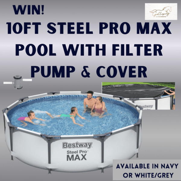10ft Steel Pro Max Pool with Filter Pump and Cover