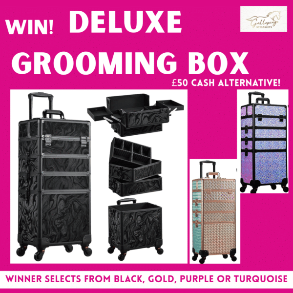 Deluxe Grooming Box