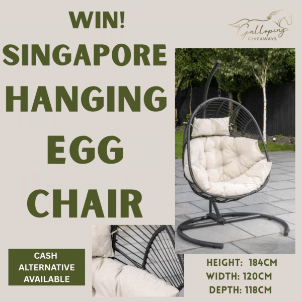 Superb Singapore Hanging Egg Chair