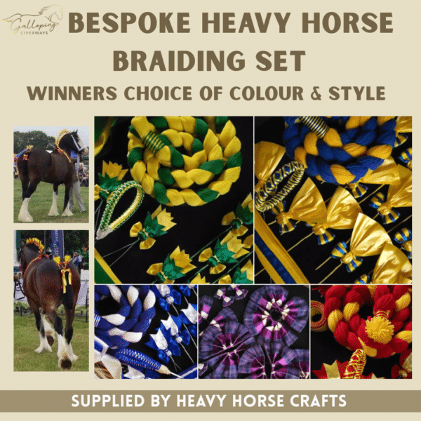 Bespoke Heavy Horse Braiding Kit