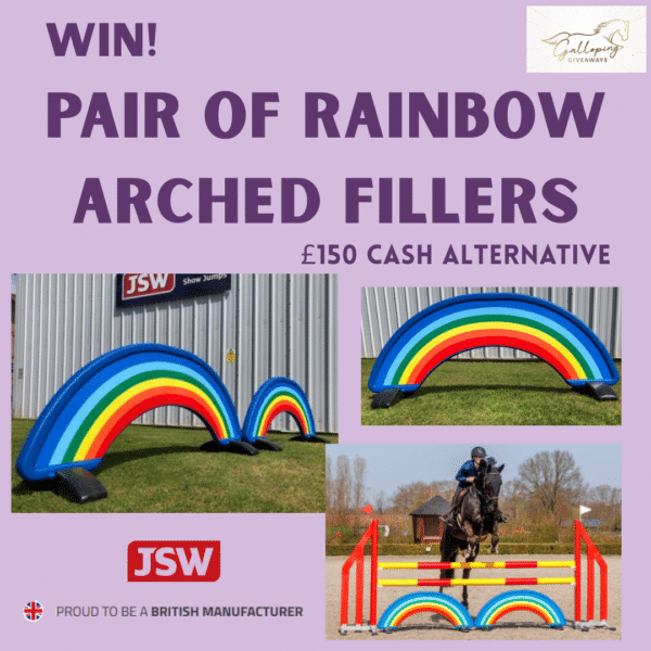 Pair of JSW Rainbow Jump Fillers