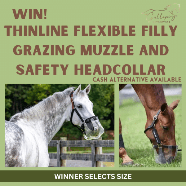 Thinline Flexible Filly Grazing Muzzle with Safety Headcollar