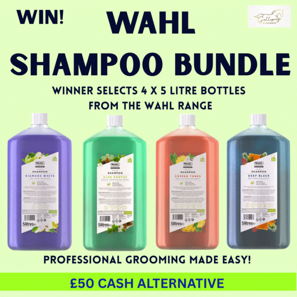 Wahl Shampoo Bundle - 4 x 5 litre Bottles of Choice