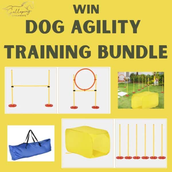Dog Agility Training Bundle