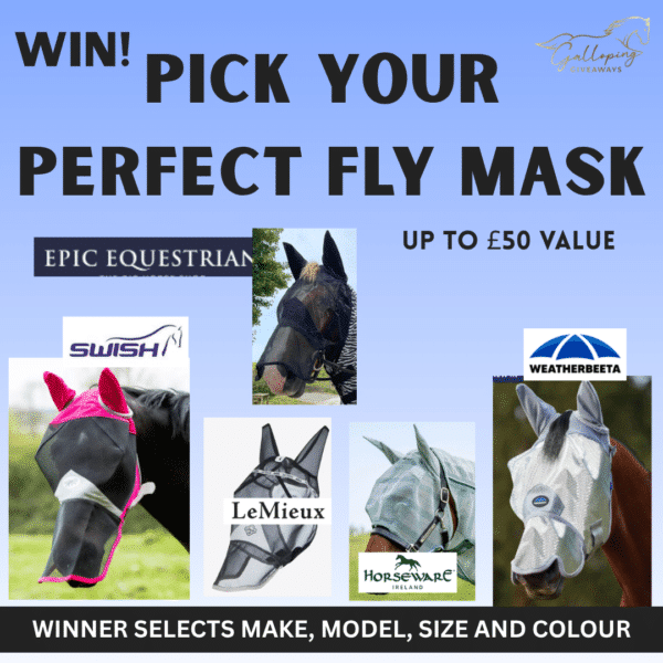 Fly Mask of Winner's Choice