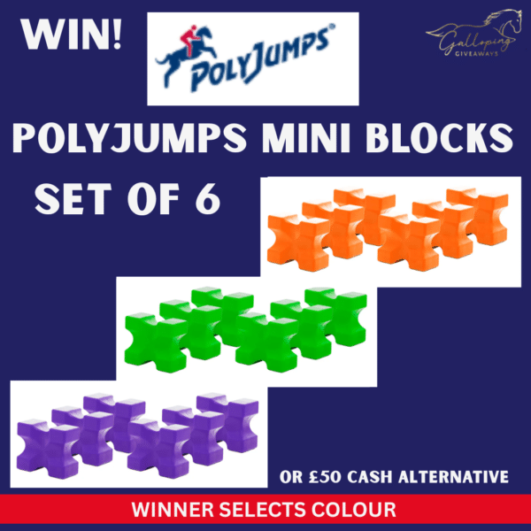 PolyJumps Mini Blocks Set