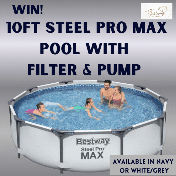 10ft Steel Pro Max Pool with Filter and Pump