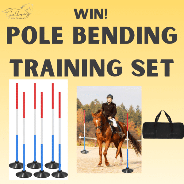 Pole Bending Training Set