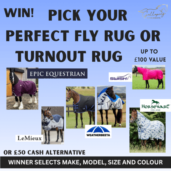 Pick Your Perfect Fly Rug or Turnout Rug