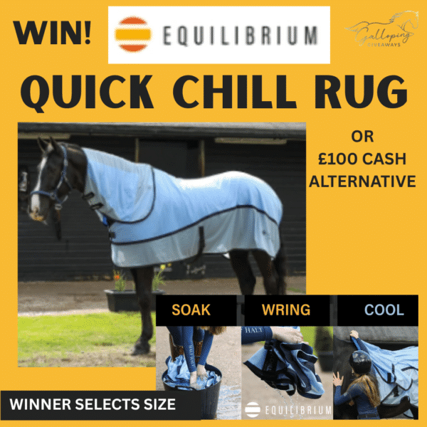 Equilibrium Quick Chill Cooling Rug or £100 Cash Alternative