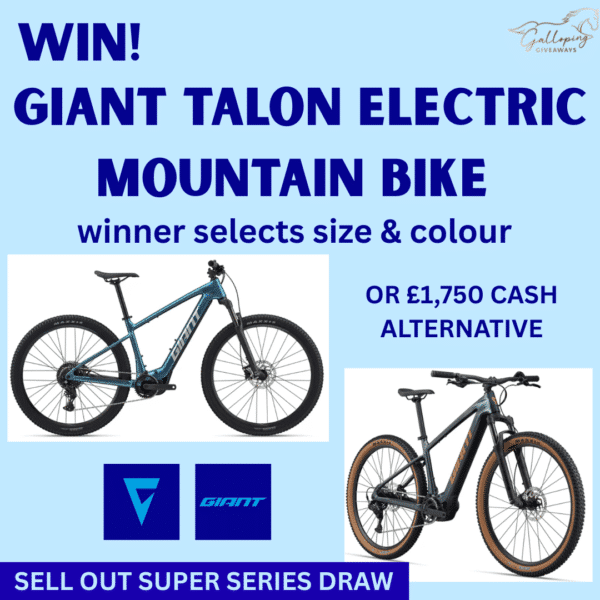 Giant Talon Electric Mountain Bike OR £1,750 Cash Alternative