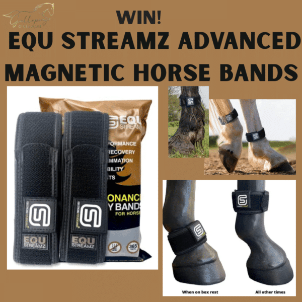 EQU StreamZ® Advanced Magnetic Horse Bands