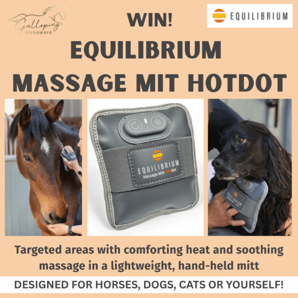 Equilibrium Massage Mitt Hotdot