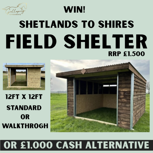 Filed Shelter of Choice or £1,000 Cash