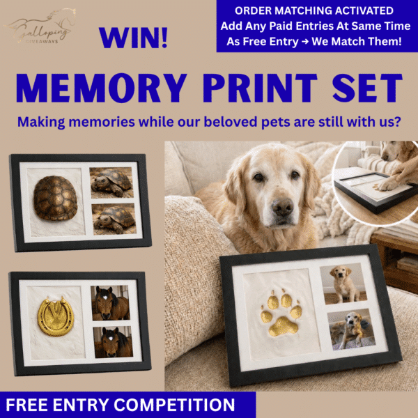 ⭐ FREE TO ENTER! Win a Memory Print Set