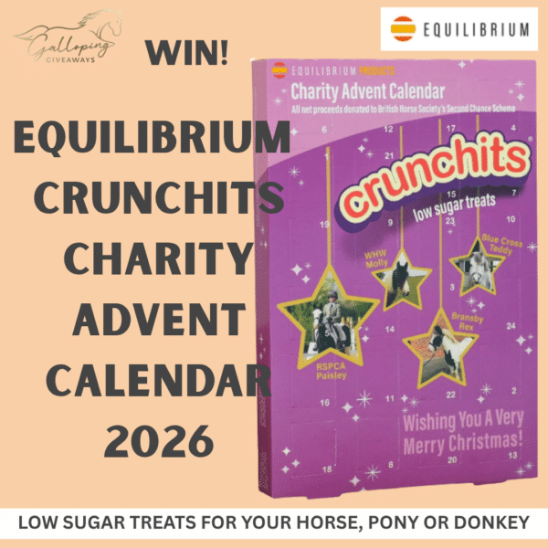🎄Equilibrium Crunchits Charity Advent Calendar 2026