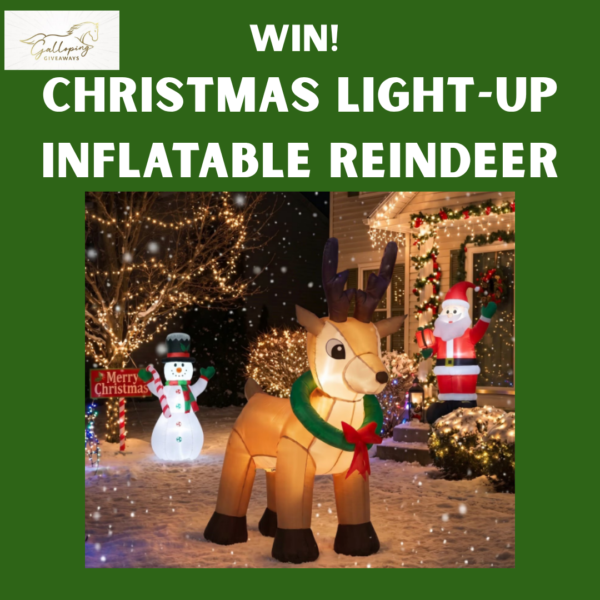 Light-Up Inflatable Reindeer