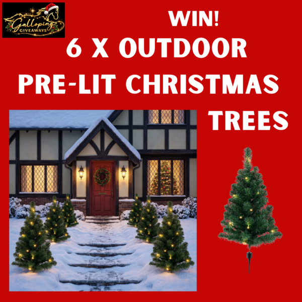 🎄 Set of 6 Pre-Lit Outdoor Christmas Trees 🎄