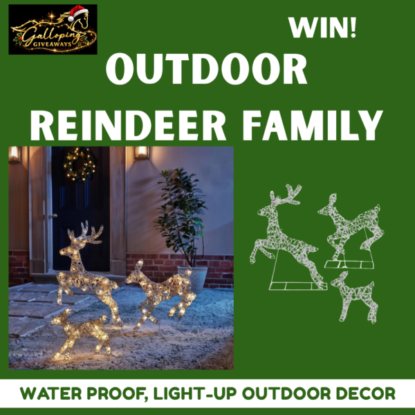 🎄 Light-Up Outdoor Reindeer Family 🦌
